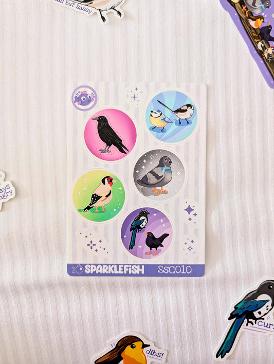 Bird Collection March Patreon - Vinyl Sticker Sheets