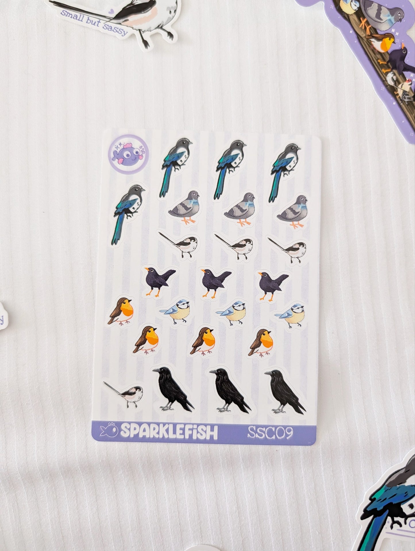 Bird Collection March Patreon - Vinyl Sticker Sheets